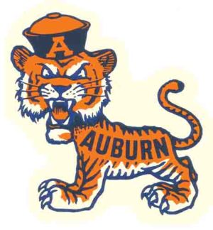 Auburn -Cat