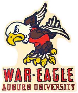 Auburn -War Bird