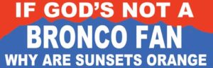 Bronco Fan