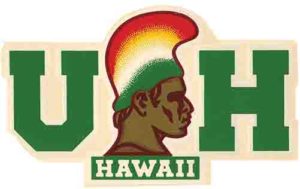 Hawaii Hat