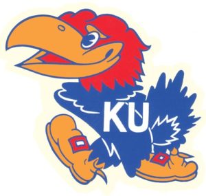 Kansas Jayhawk -Bird