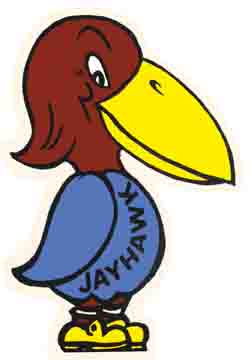 Kansas Jayhawk