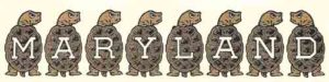 Maryland Turtles
