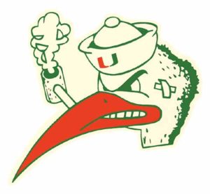 Miami Hurricane Head