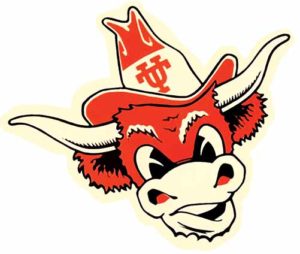 Texas Longhorns Orange