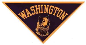 Washington -Triangle