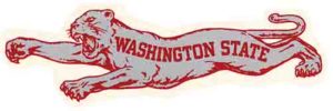 Washington State -cat